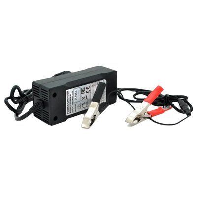 Merlion LiFePO4 12V(14,6V)-5A-60W Зарядний пристрій для акумуляторів 111773 фото