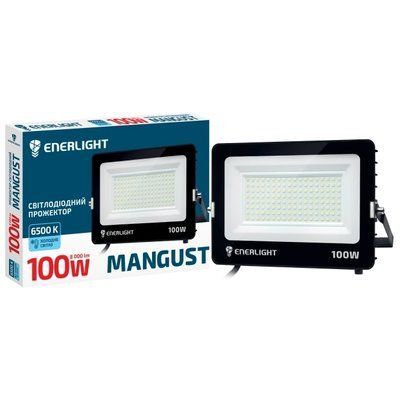 ENERLIGHT MANGUST Прожектор светодиодный 100Вт 6500K 99-00015242 фото