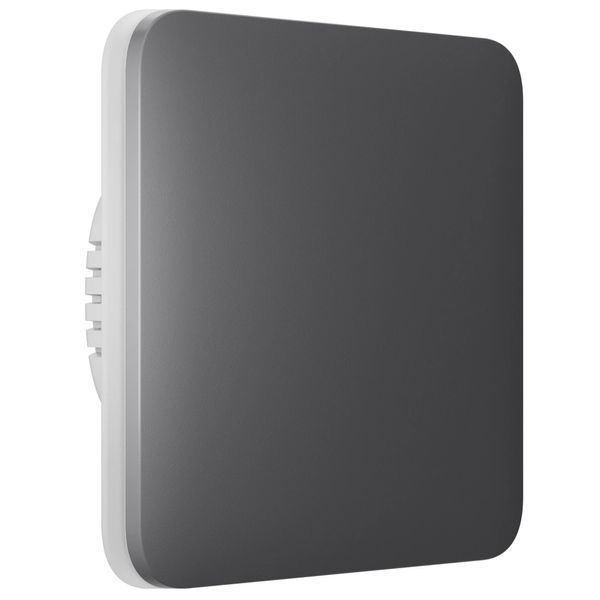 Ajax SoloButton (1-gang/2-way) grey Кнопка для одноклавішного чи прохідного вимикача 99-10024772 фото