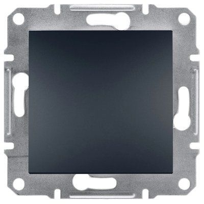 Schneider Electric Asfora EPH5600171 Заглушка антрацит 99-00018348 фото