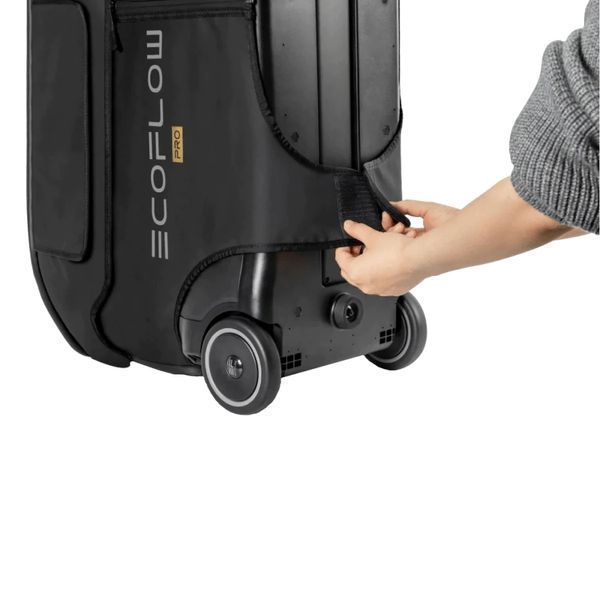 EcoFlow DELTA Pro Bag Сумка 99-00009596 фото