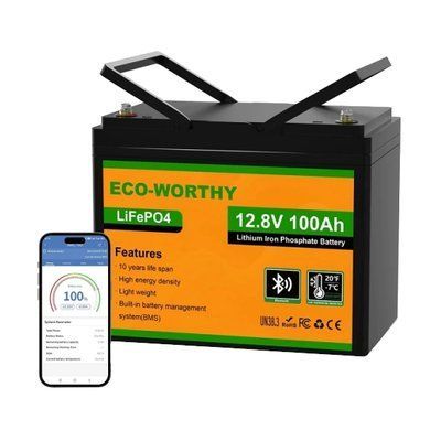 Eco-Worthy LiFePO4 12V 100Ah bluetooth Аккумуляторная батарея 99-10034012 фото