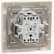 Schneider Electric Asfora EPH0300123 Вимикач двоклавішний самозатискний 99-00015592 фото 2