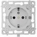 Ajax OutletCore (basic) [type F] [55] (8EU) ASP Механизм розетки 99-00024006 фото 1