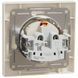 Schneider Electric Asfora EPH3100123 Розетка із кришкою, із заземленням 99-00015595 фото 2