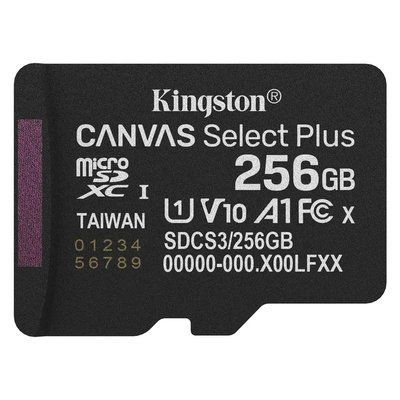 Kingston microSD 256GB C10 UHS-I A1 V10 R150MB/s Карта пам'яті 99-10028160 фото