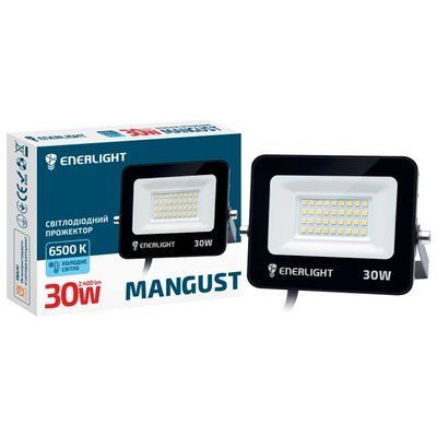 ENERLIGHT MANGUST Прожектор светодиодный 30Вт 6500K 99-00015240 фото