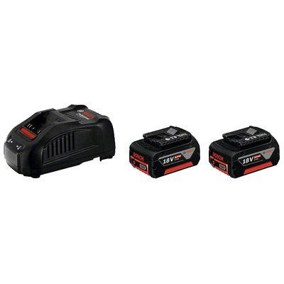 Bosch (1.600.A00.B8J) Набор аккумулятора 18 В 5,0 Ач + ЗУ 99-00019854 фото